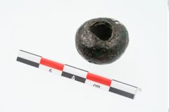 Foto von Bronzeringperle (NHMW-PRAE-025198)